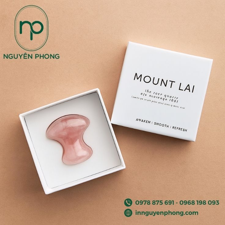 In hộp đựng dụng cụ đánh cảm có cốt 